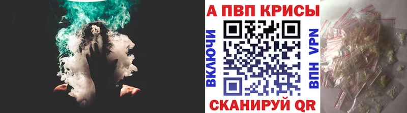 Альфа ПВП СК Данков