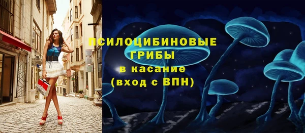 2c-b Алзамай
