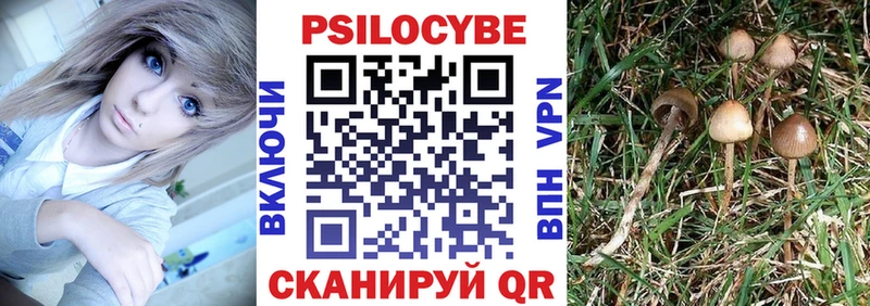 Галлюциногенные грибы Psilocybine cubensis  Данков 